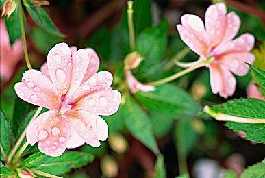 《生化女神：末日开端》试玩版开放 美女高中生恐怖之旅